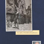 Obradović Origin & Evolution - Image 2